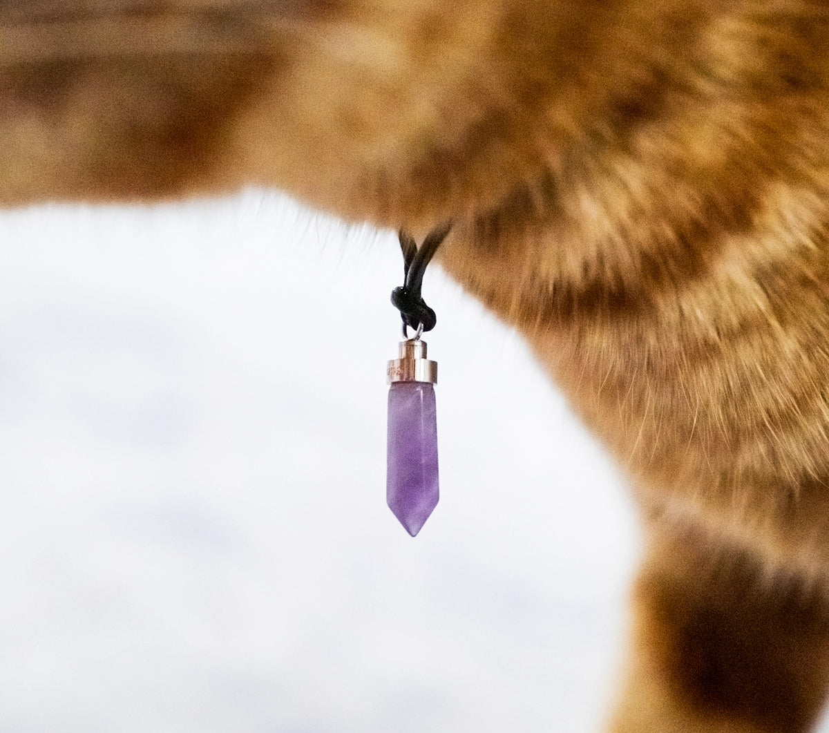 Amethyst calm pendant hanging from the neck of an orange tabby cat