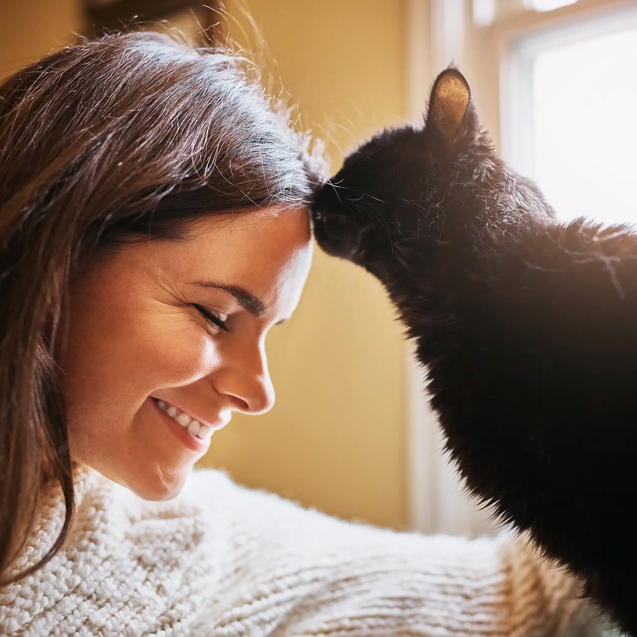 The Love Pendant | Rose Quartz